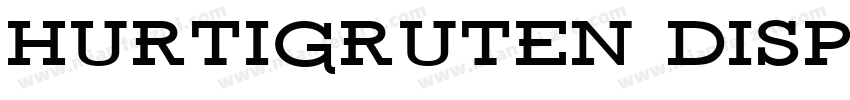 Hurtigruten Display Bold字体转换